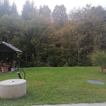 Apartma Gace Semic Exterior foto